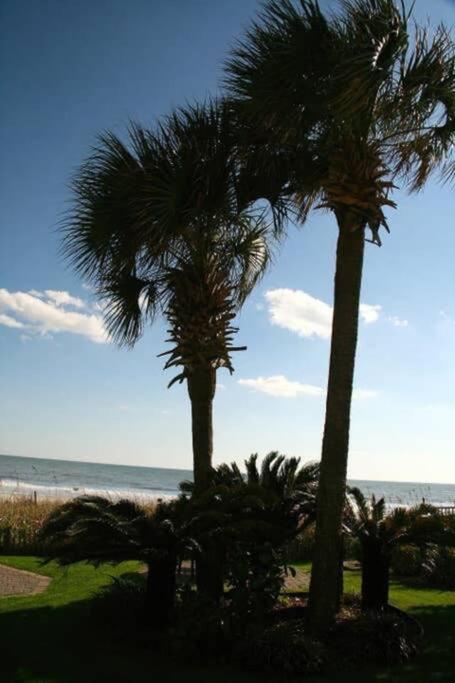 *Renovated Oceanfront Condo*Queen Beds*Pools*Hot Tubs*More*P220 Myrtle Beach Kültér fotó